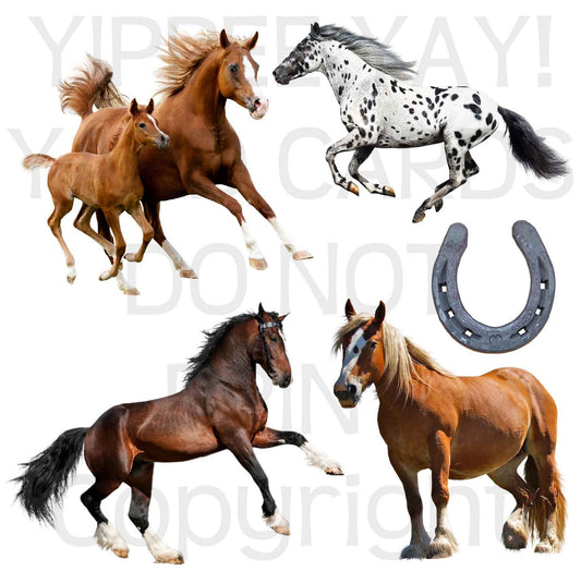 Horses Half Sheet Misc. (Must Purchase 2 Half sheets - You Can Mix & Match)