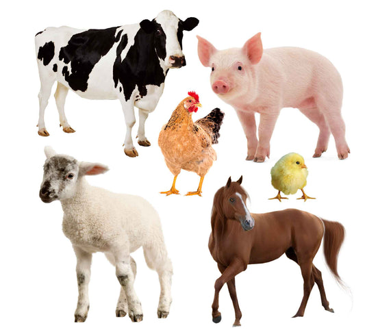 Realistic Farm Animals Half Sheet Misc. (Must Purchase 2 Half sheets - You Can Mix & Match)